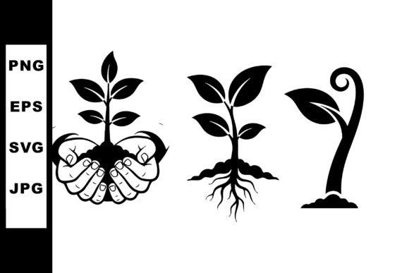 Download Plant Growth Stages Vector Art - Art Collection