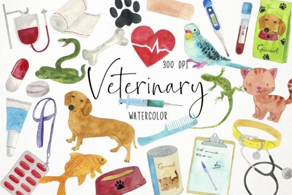 Download Watercolor Veterinary Clipart, Vet - Art Collection