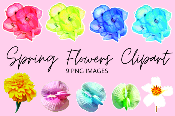 Download Colourful Spring Flowers Clipart Set - Art Collection